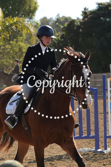 IMG_3514CRD1