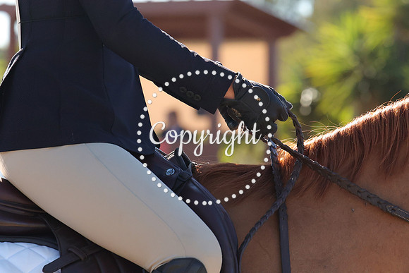 IMG_3536CRD1