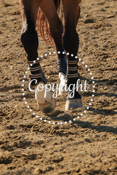 IMG_3542CRD1