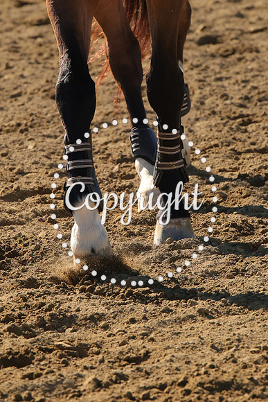 IMG_3544CRD1