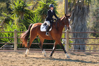 IMG_3549CRD1