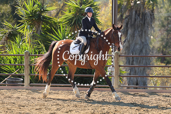 IMG_3549CRD1