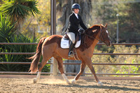 IMG_3560CRD1
