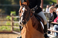 IMG_3565CRD1