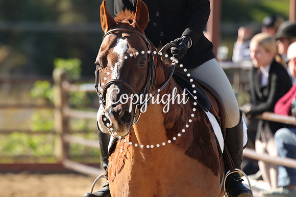 IMG_3565CRD1