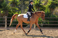 IMG_3556CRD1