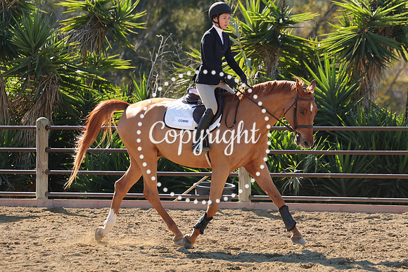 IMG_3556CRD1