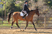 IMG_3566CRD1