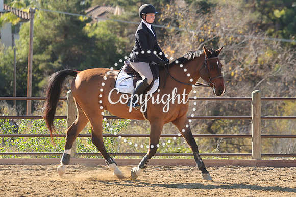 IMG_3566CRD1