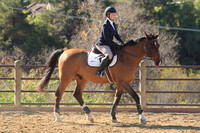 IMG_3572CRD1