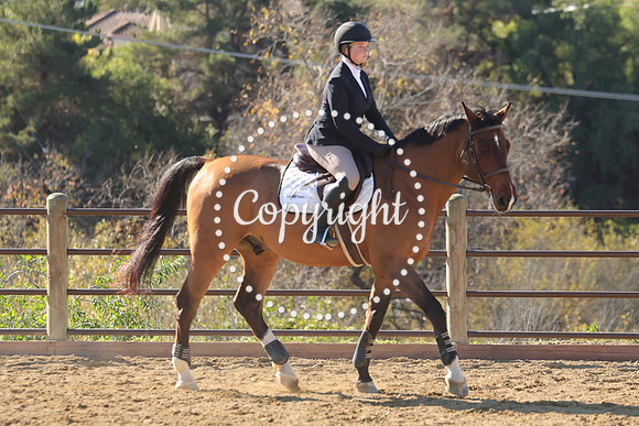 IMG_3572CRD1