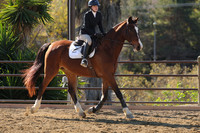 IMG_3581CRD1