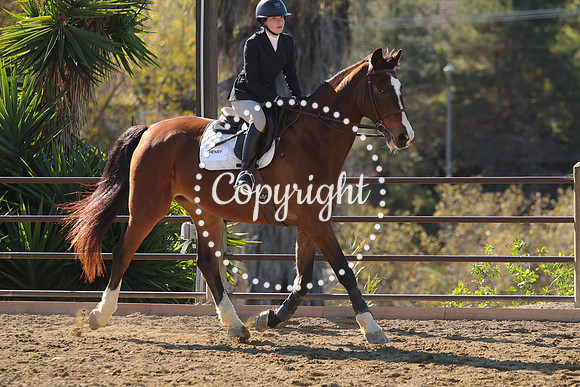 IMG_3581CRD1