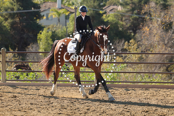 IMG_3586CRD1