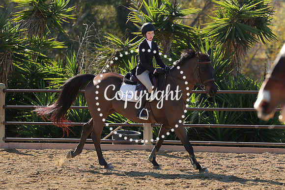 IMG_3591CRD1