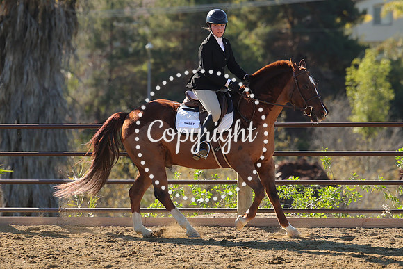 IMG_3609CRD1