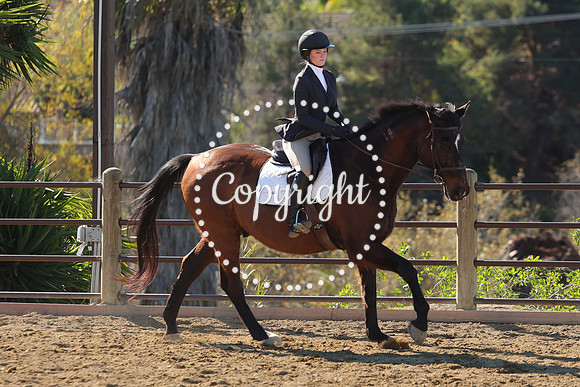 IMG_3602CRD1