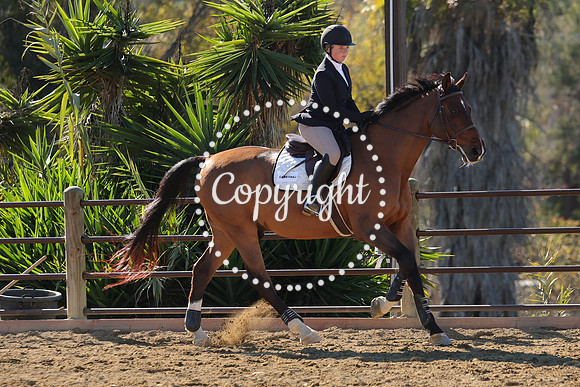 IMG_3614CRD1