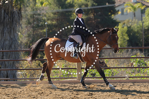 IMG_3617CRD1