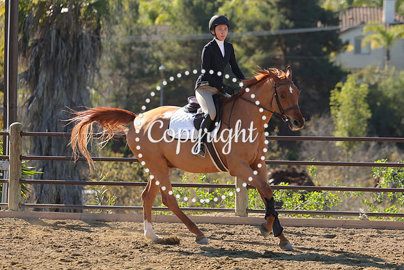 IMG_3630CRD1