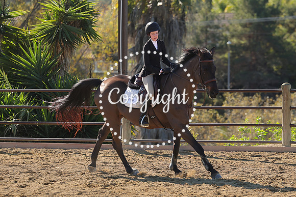IMG_3636CRD1