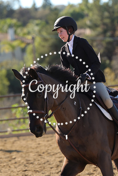 IMG_3641CRD1