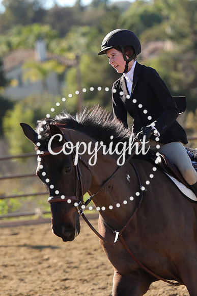 IMG_3642CRD1