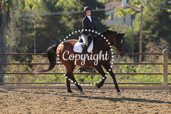 IMG_3643CRD1