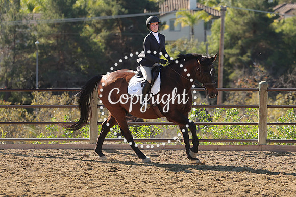 IMG_3645CRD1