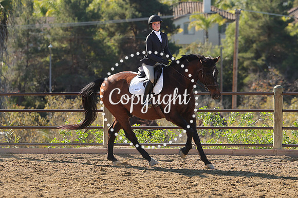 IMG_3644CRD1