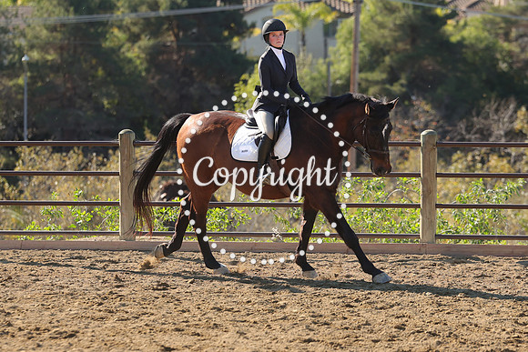 IMG_3647CRD1