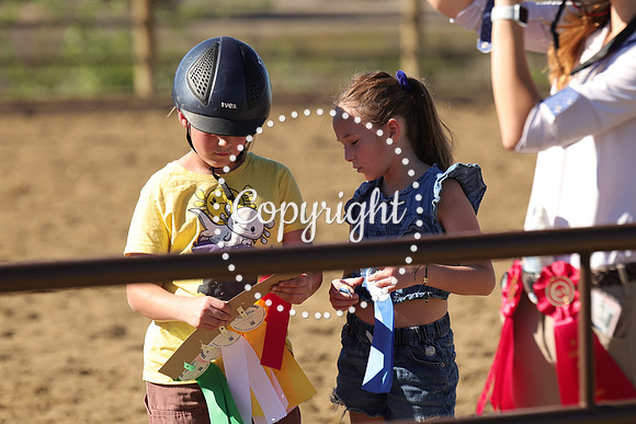 IMG_3671CRD1