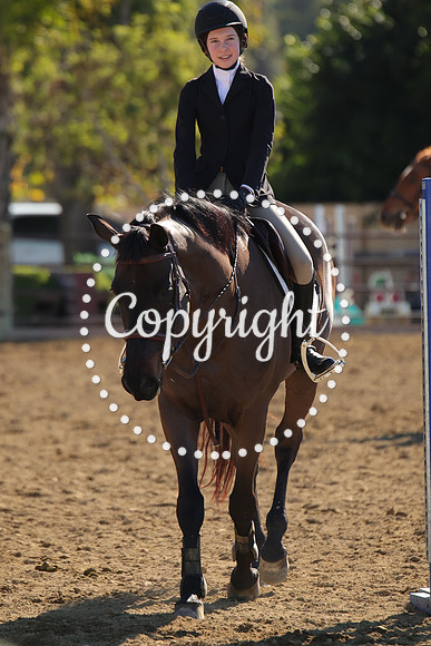 IMG_3672CRD1
