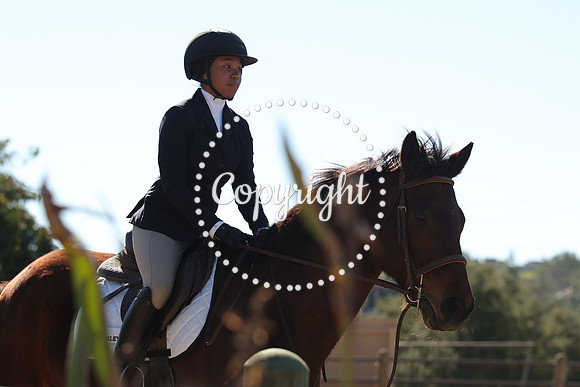 IMG_3726CRD1