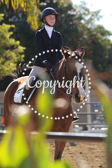 IMG_3741CRD1