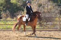 IMG_3779CRD1