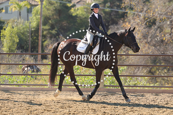 IMG_3815CRD1