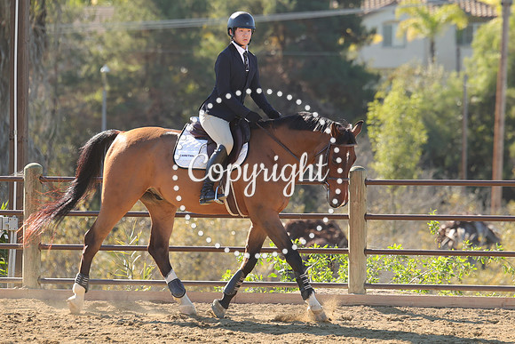 IMG_3802CRD1