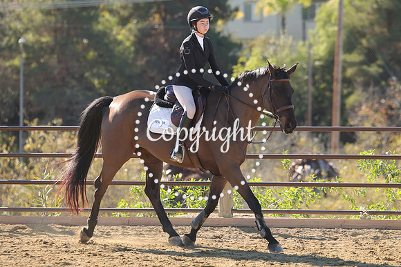 IMG_3832CRD1