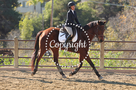 IMG_3827CRD1