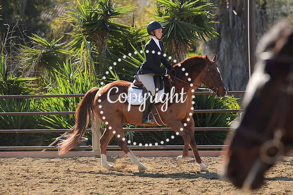 IMG_3876CRD1