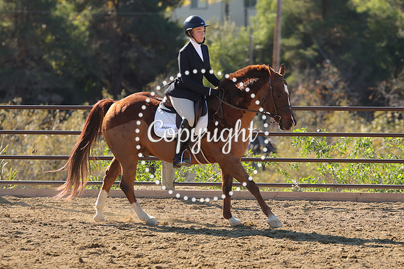 IMG_3880CRD1
