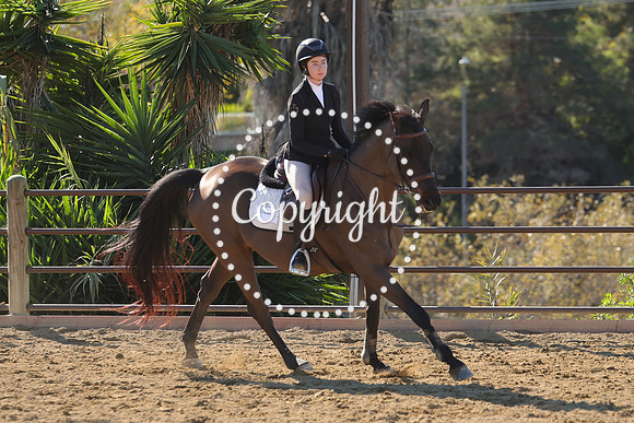 IMG_3887CRD1