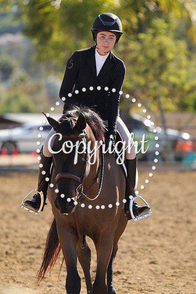 IMG_3925CRD1