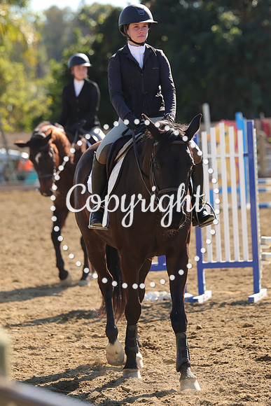 IMG_3937CRD1
