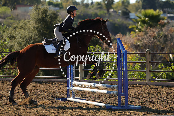 IMG_1859CRD1