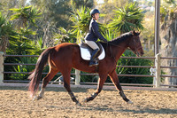 IMG_1900CRD1