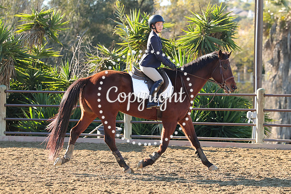 IMG_1900CRD1