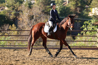 IMG_1910CRD1
