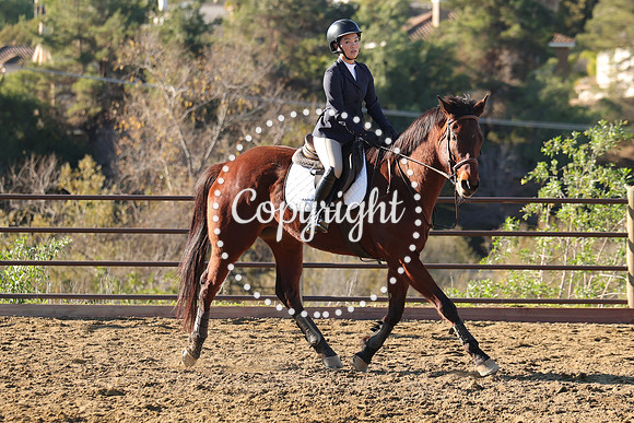 IMG_1910CRD1